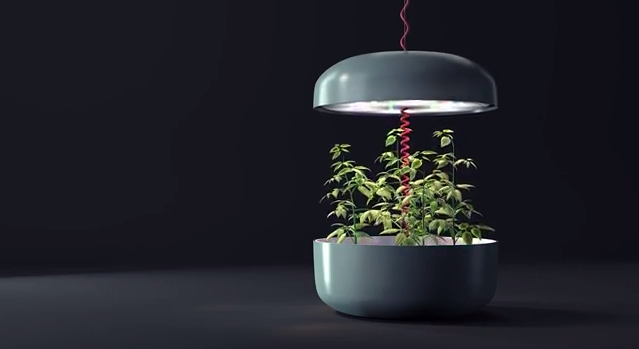 The Plantui Plantation measures 45 cm (17.7 in) in diameter with an adjustable height of 28 to 200 cm (11 to 78 in)