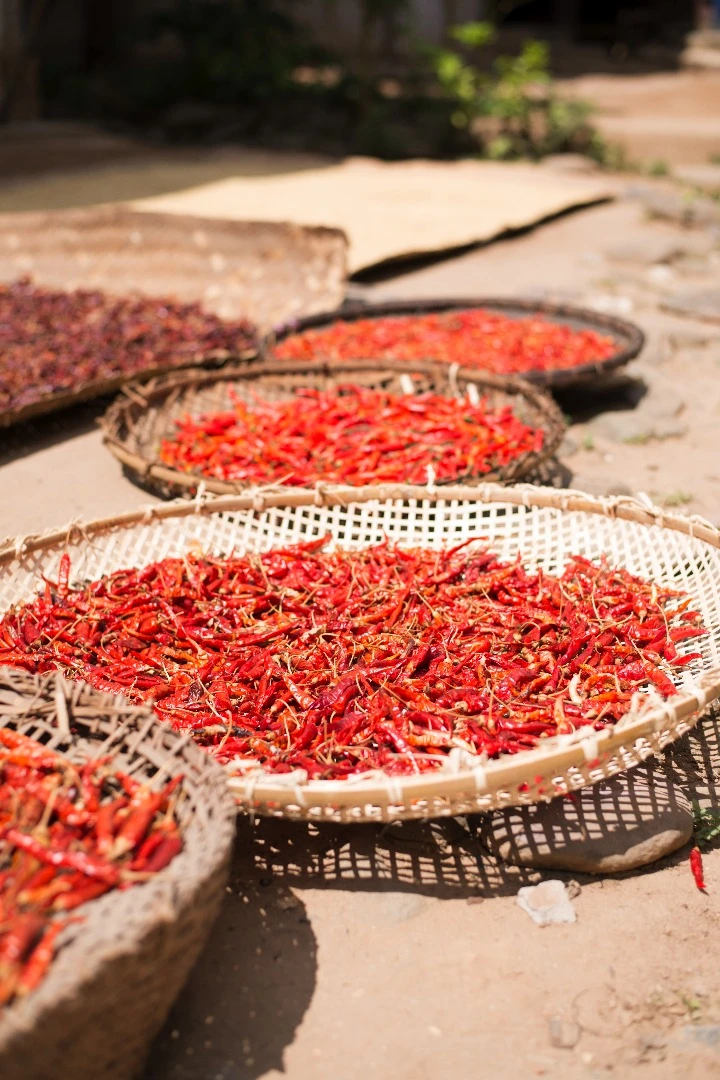 Nick works primarily as a food photographer in London - it showed when we compared pics we'd taken of the chillis drying in the sun. This is one of his