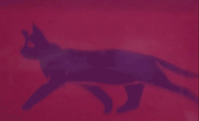 An animated cat, created using the light activated polymer