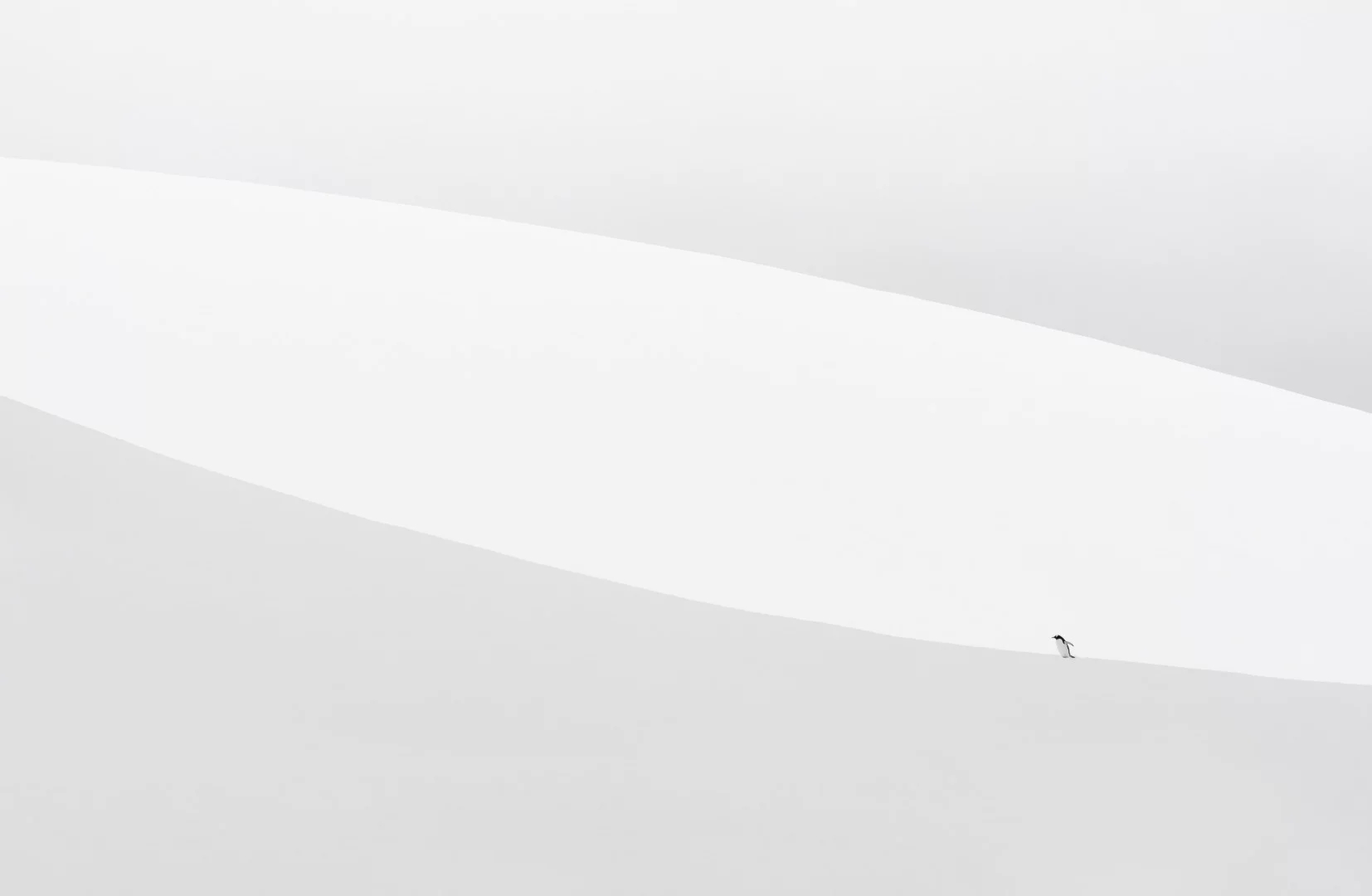 Danco Island, Antarctica. From the top 101 entries