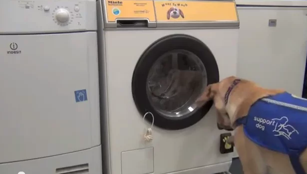 The Woof to Wash washing is designed so that service dogs can open the door with their paw