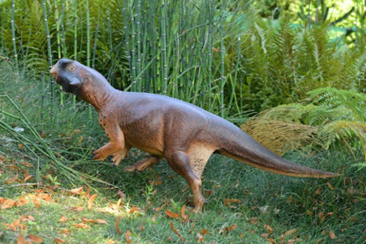 Researchers took a 3D model of a small herbivorous dinosaur to the University of Bristol Botanic Garden to determine its likely habit based on its countershading camouflage