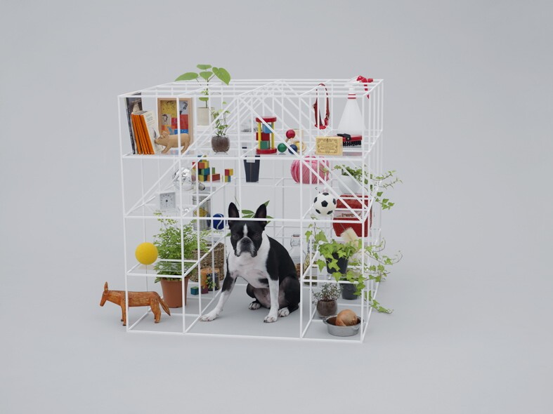 Architecture for Boston Terriers, by Sou Fujimoto