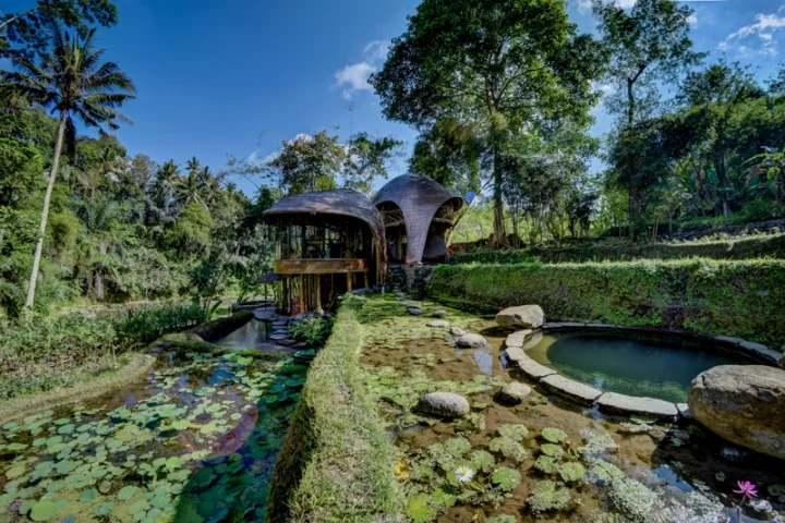 In designing River Bend, the architects set out to create something that resembled a nest more than a house