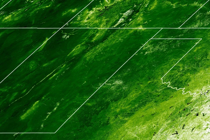 Satellite image using what is known as the Enhanced Vegetation Index (EVI) to show plant cover in June 2004 in the U.S (Image: Philip Dennison, University of Utah)