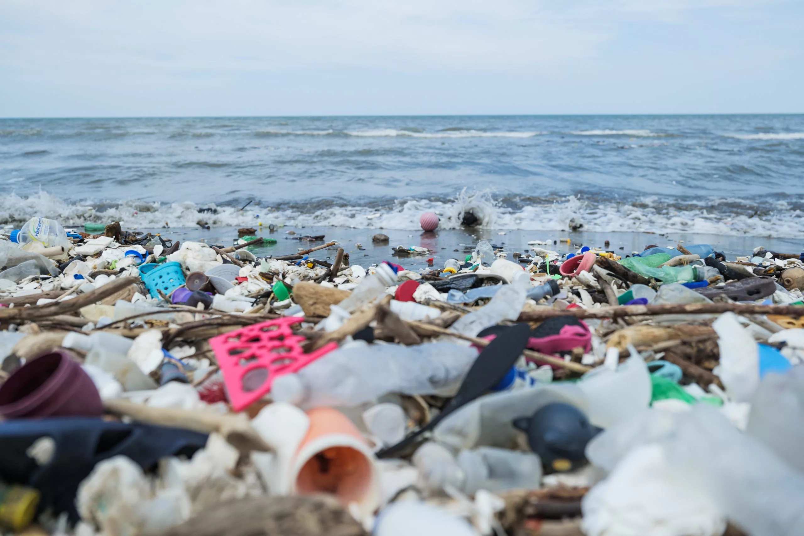 The fungus Parengyodontium album has been found to break down polyethylene waste in the marine environment at a rate of around 0.05% per day