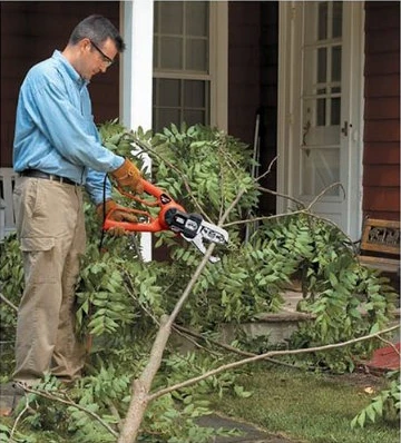The Black & Decker Alligator Lopper LP1000