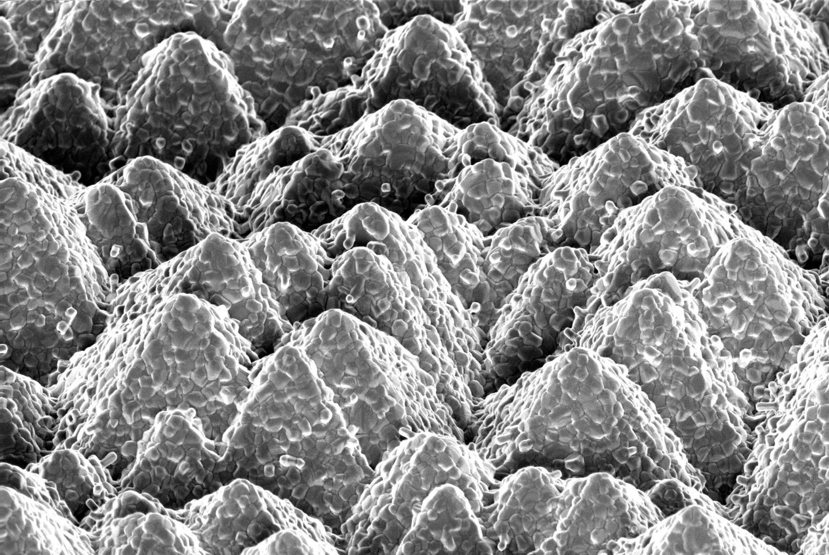 The pyramid shapes of silicon's surface structure is clear in this microscope image