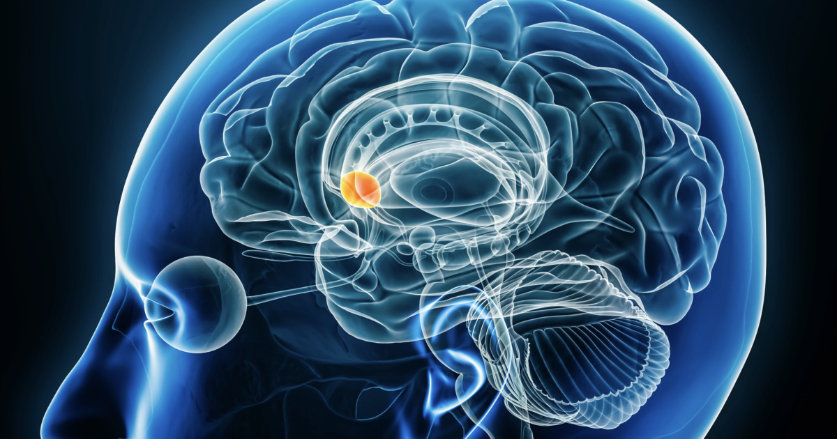New insights into dopamine’s precise brain signaling New insights into dopamine’s precise brain signaling