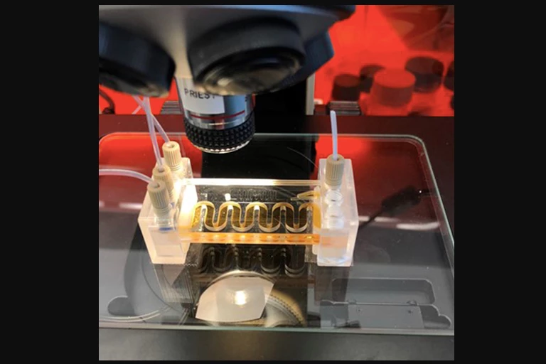 The chlorine/pH sensor, pictured here while still in development