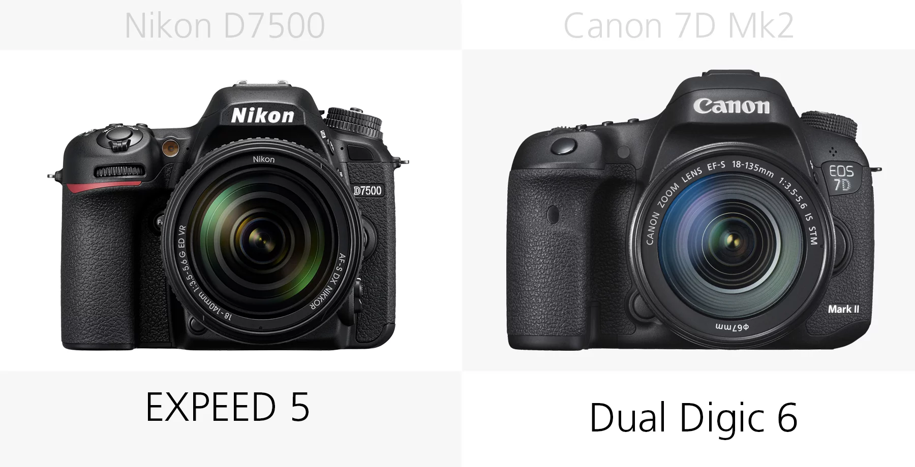 The image processors of the Nikon D7500 and Canon 7D Mark II compared