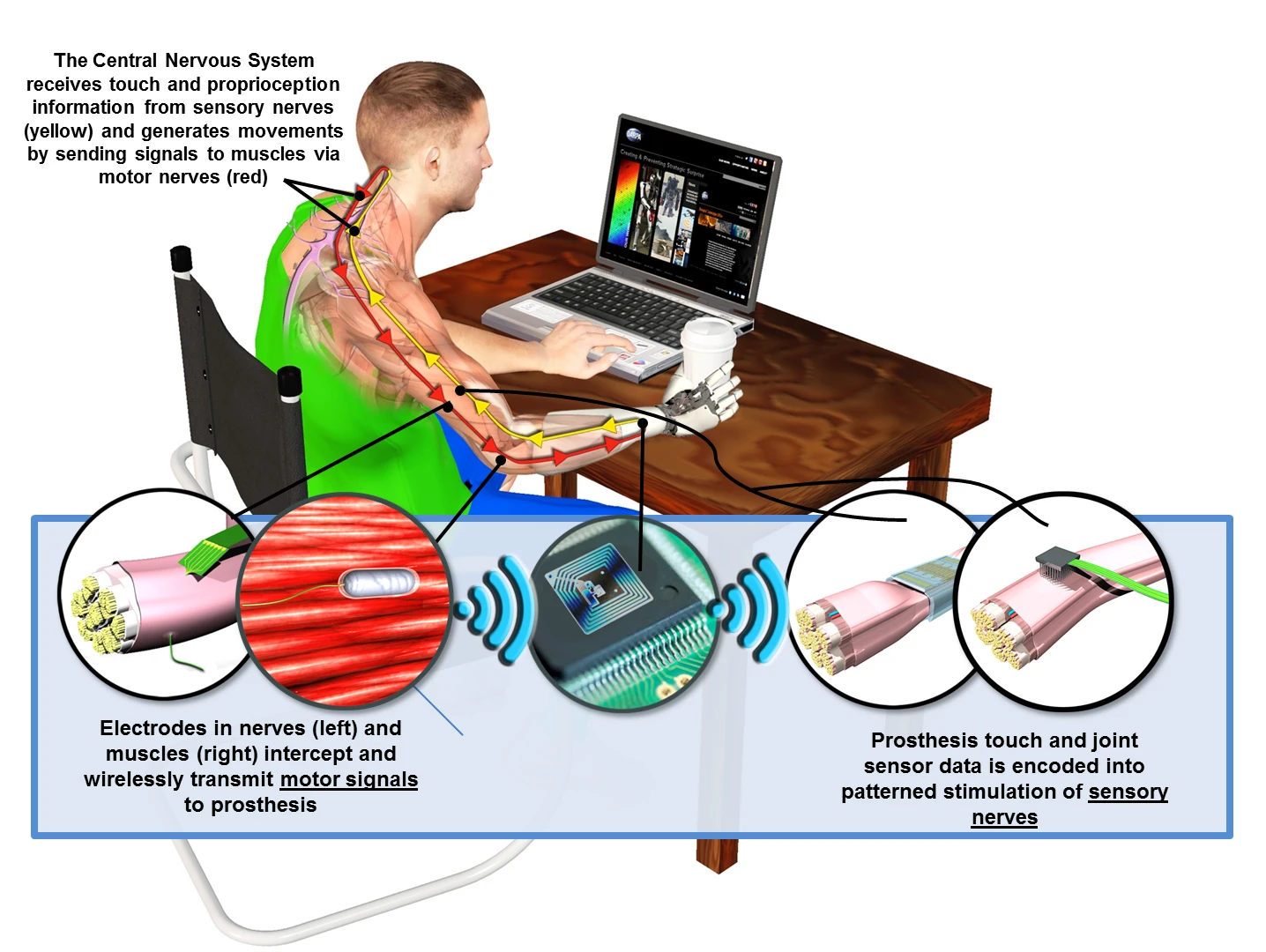How the HAPTIX technology works