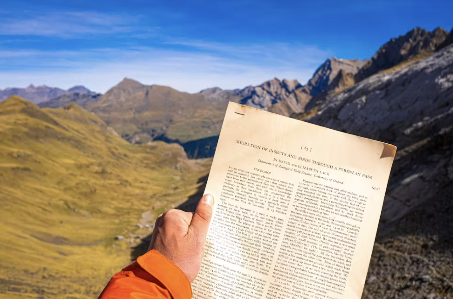 The historic Lack paper that started the researchers' present study