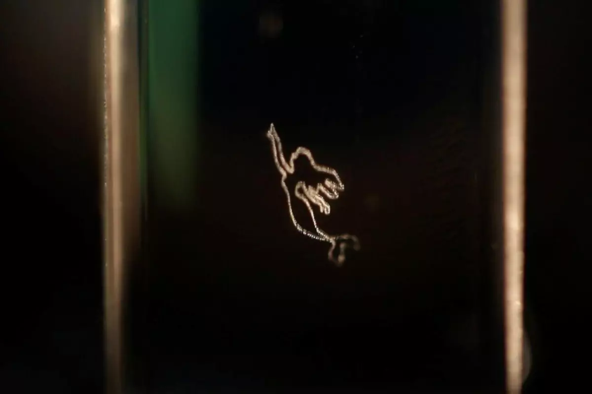 A little mermaid, made out of little bubbles