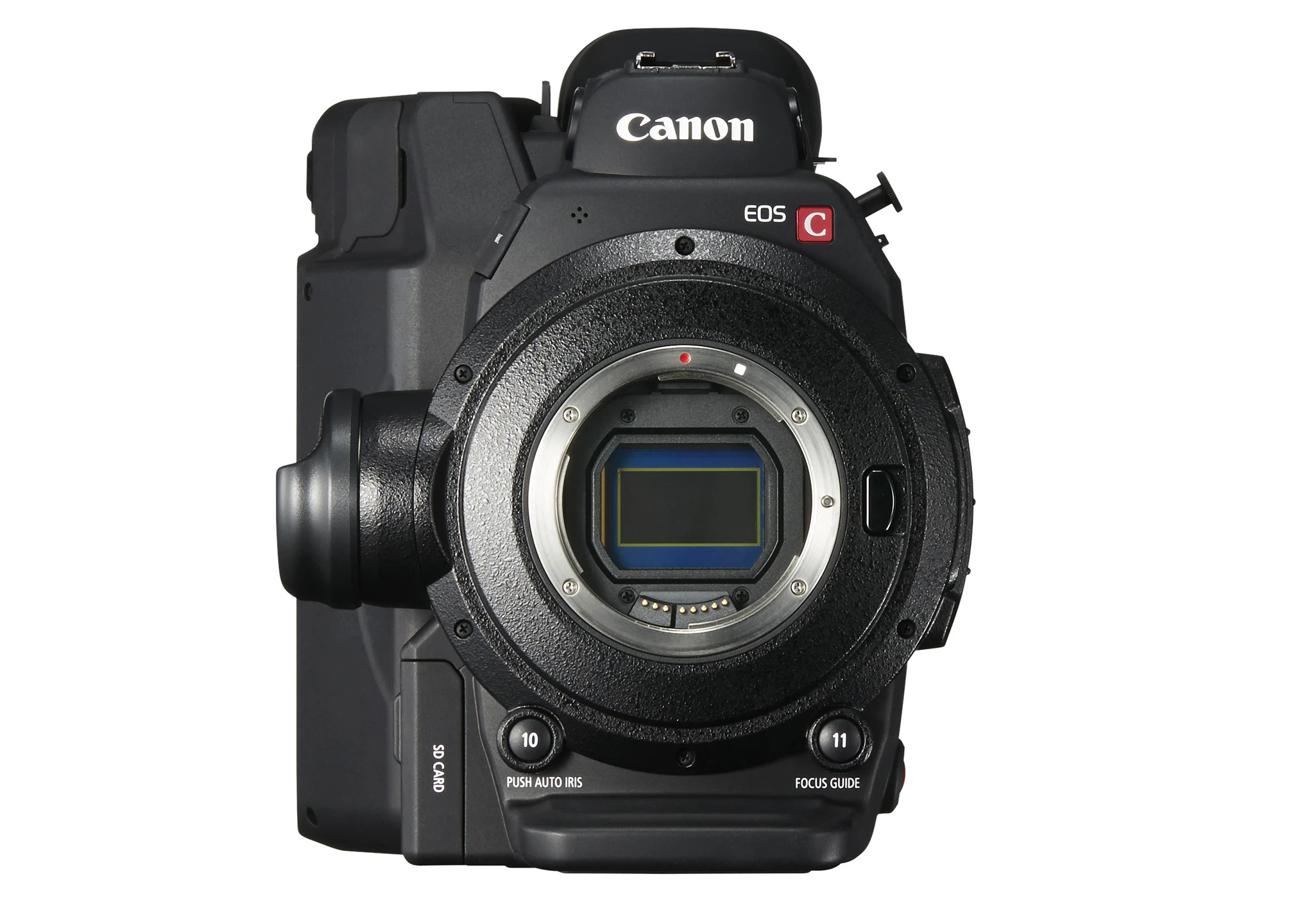 The Canon EOS C300 Mark II will be available from September and is due to cost around $20,000