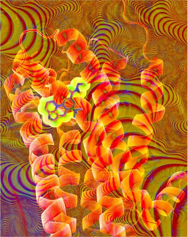 Artist's impression of the chemical structure of LSD (highlighted in yellow) interlocking into a red-orange ribbon diagram of the serotonin receptor