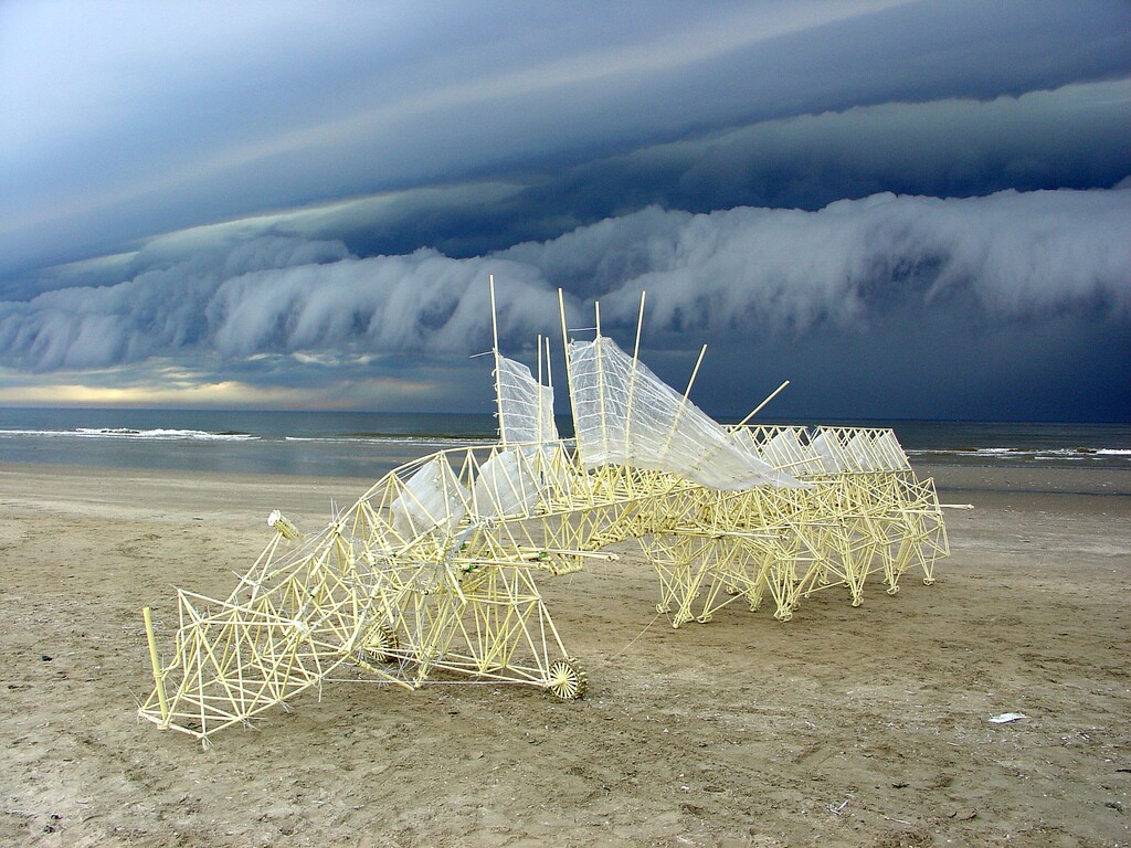 A storm approaches on the Percipiere beach animal(Photo: Theo Jansen)