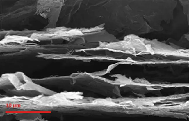 A scanning electron microscope image of the treated graphene oxide paper