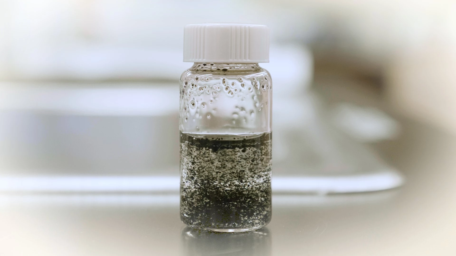 Tire wear particles in the lab at Oregon State University