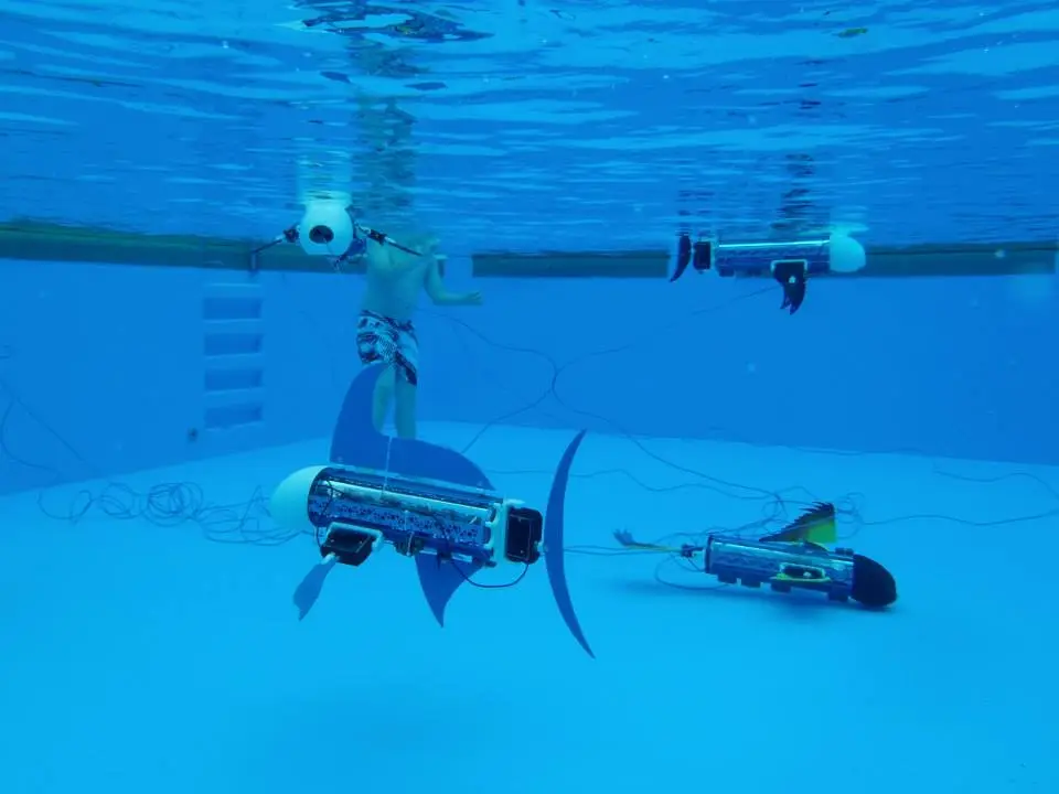 Children aged 10 to 18 can experiment with different fin shapes, sizes, and placements to create different "species" (photo: naro - nautical robots)
