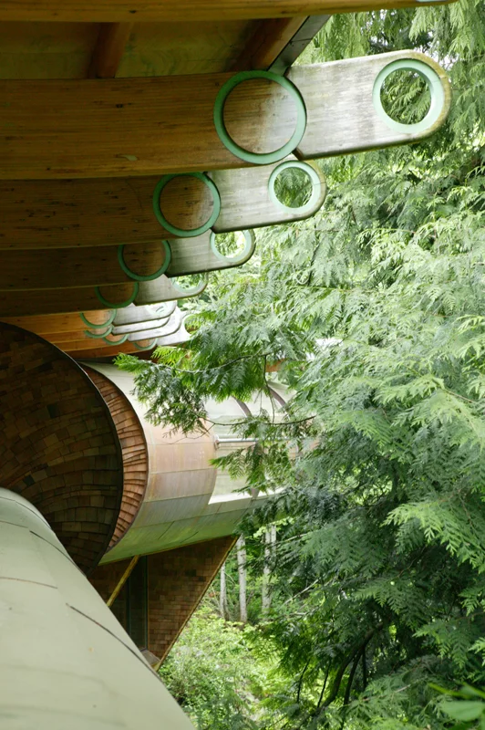 Roy Wilkinson must have the coolest house on the block.