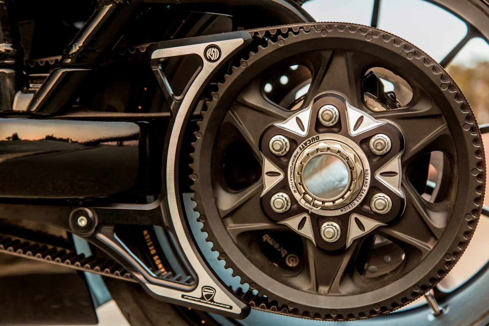 XDiavel by Roland Sands: custom belt guard