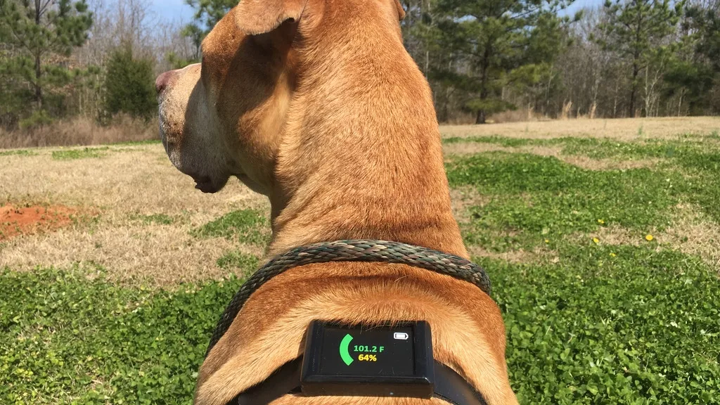The Dawg Tag's electronics module contains the system's USB-rechargeable battery, the charge level of which is displayed on the screen