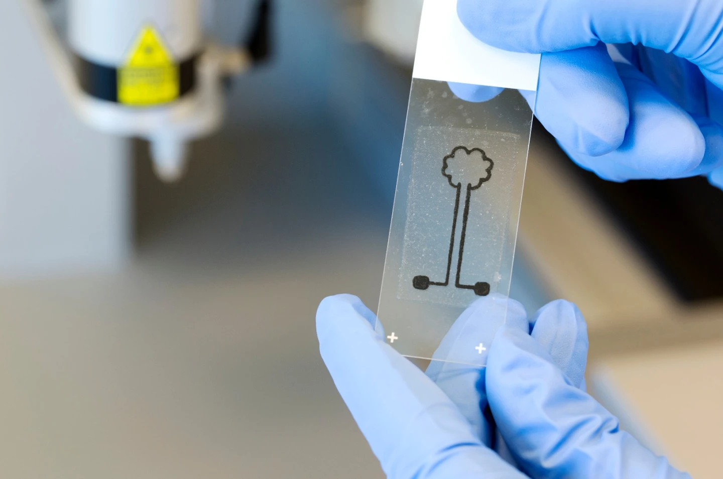 A circuit in the shape of a tree, in which the conductive element is produced with a 3D-bioprinted nanocellulose ink that contains carbon nanotubes