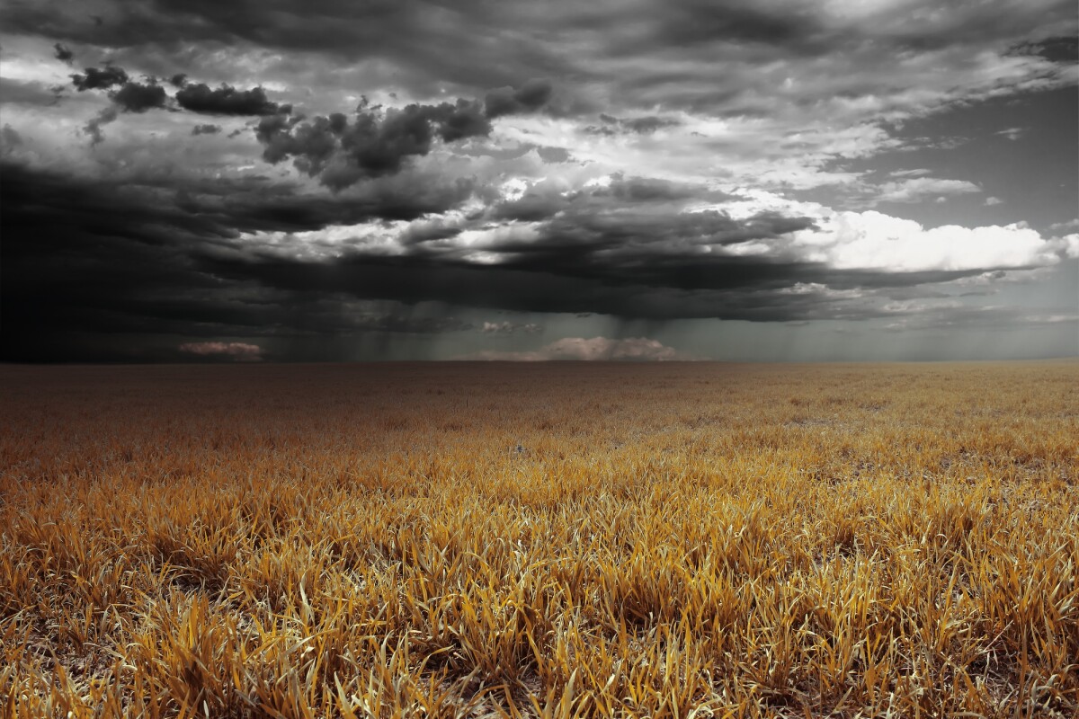 The 500-million-year-old reason behind the unique scent of rain 1 We knew the distinctive smell of rain on dry earth was the result of a chemical released by bacteria, but new research helps explain why the bacteria evolved to do this