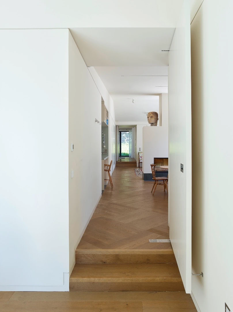Peacock House was designed by BHSF Architekten with Studio-P