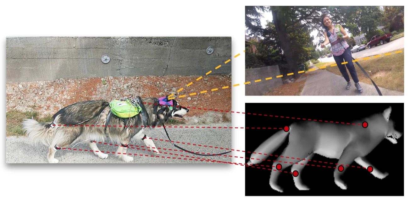 As well as video, the team recorded the dog's motions to help teach its AI model