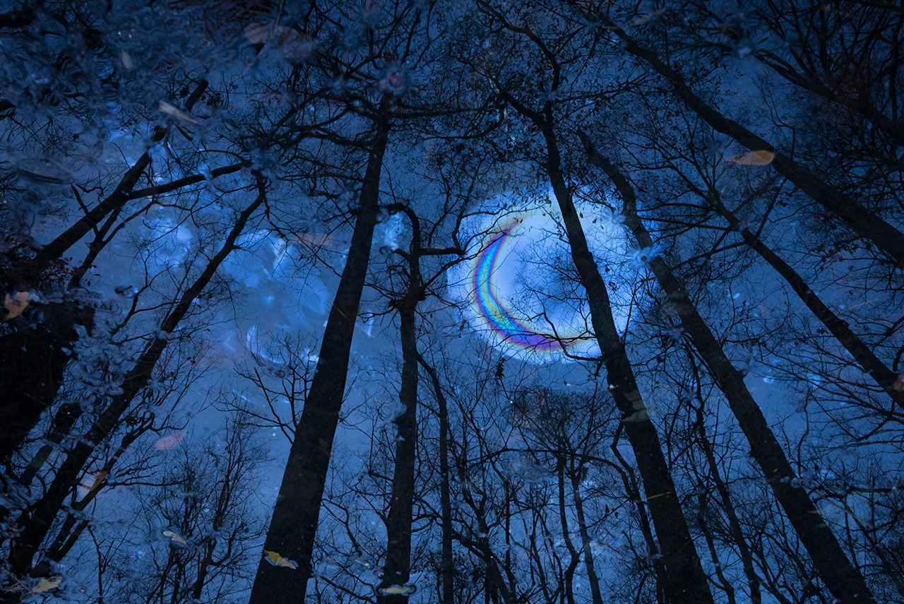 Midnight Oil by Mac Stone, Art of Nature Finalist, South Carolina, United States