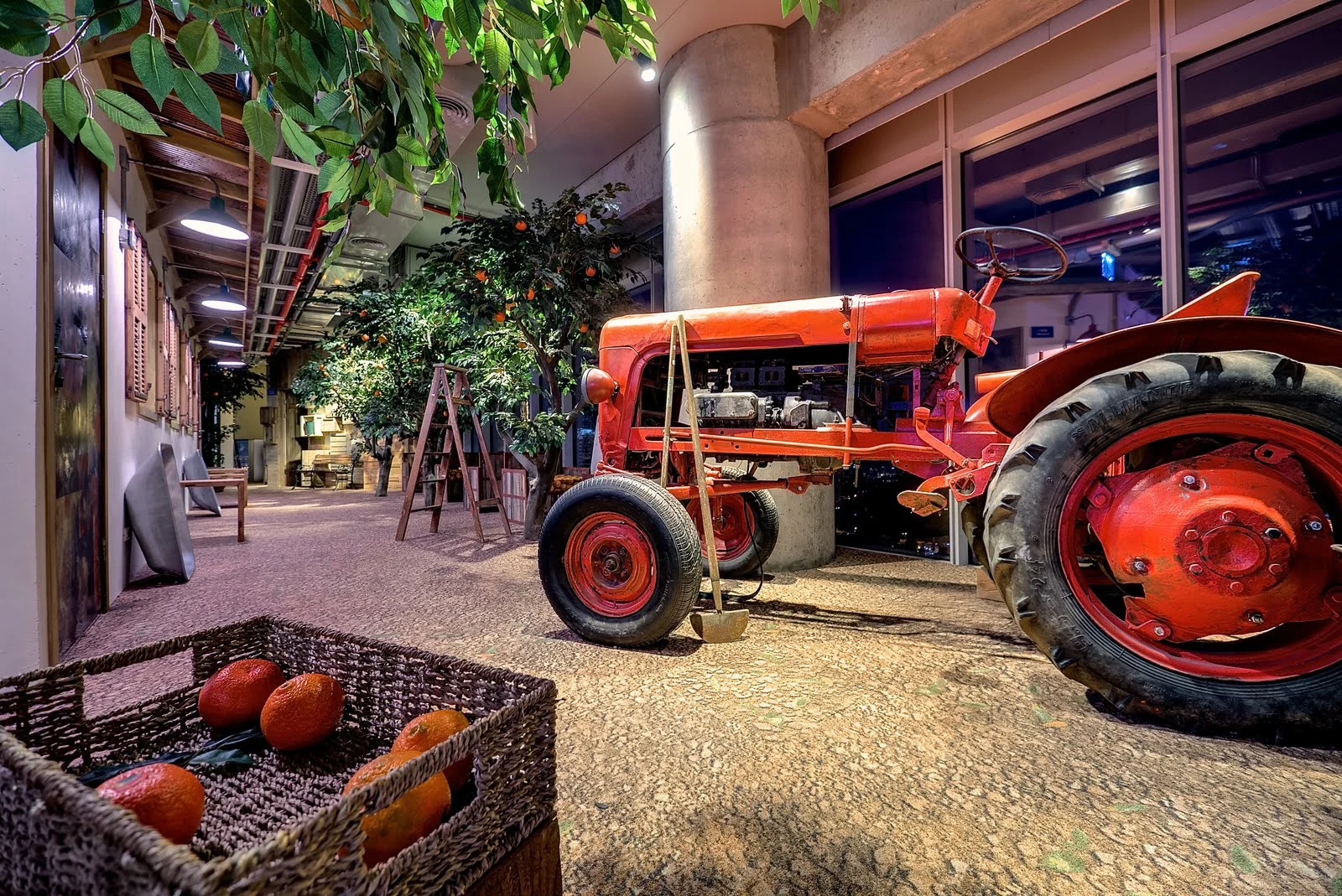 Google's Tel Aviv new office features an indoor orchard (Photo: Itay Sikolski)