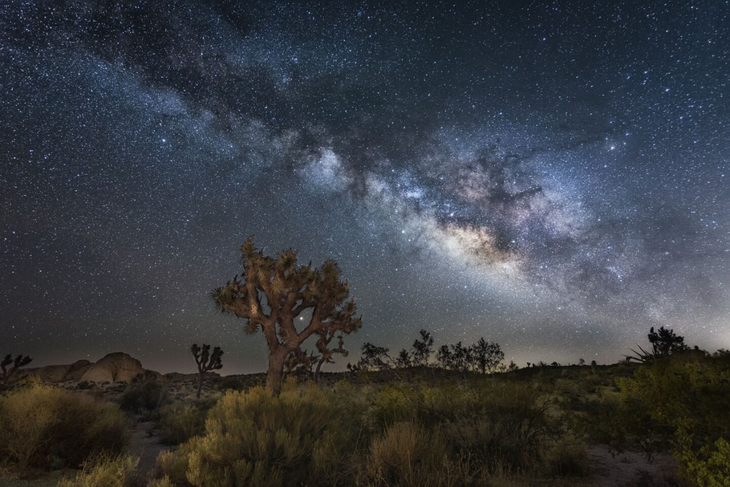 Professional shortlist: Joshua Tree National Park in California is one of the four Gold Tier International Dark Sky Parks in the US, It is known by its beautiful trees and in this photograph taken in May 2018 we can see the desert landscape populated by the trees under the milky way and its galactic core