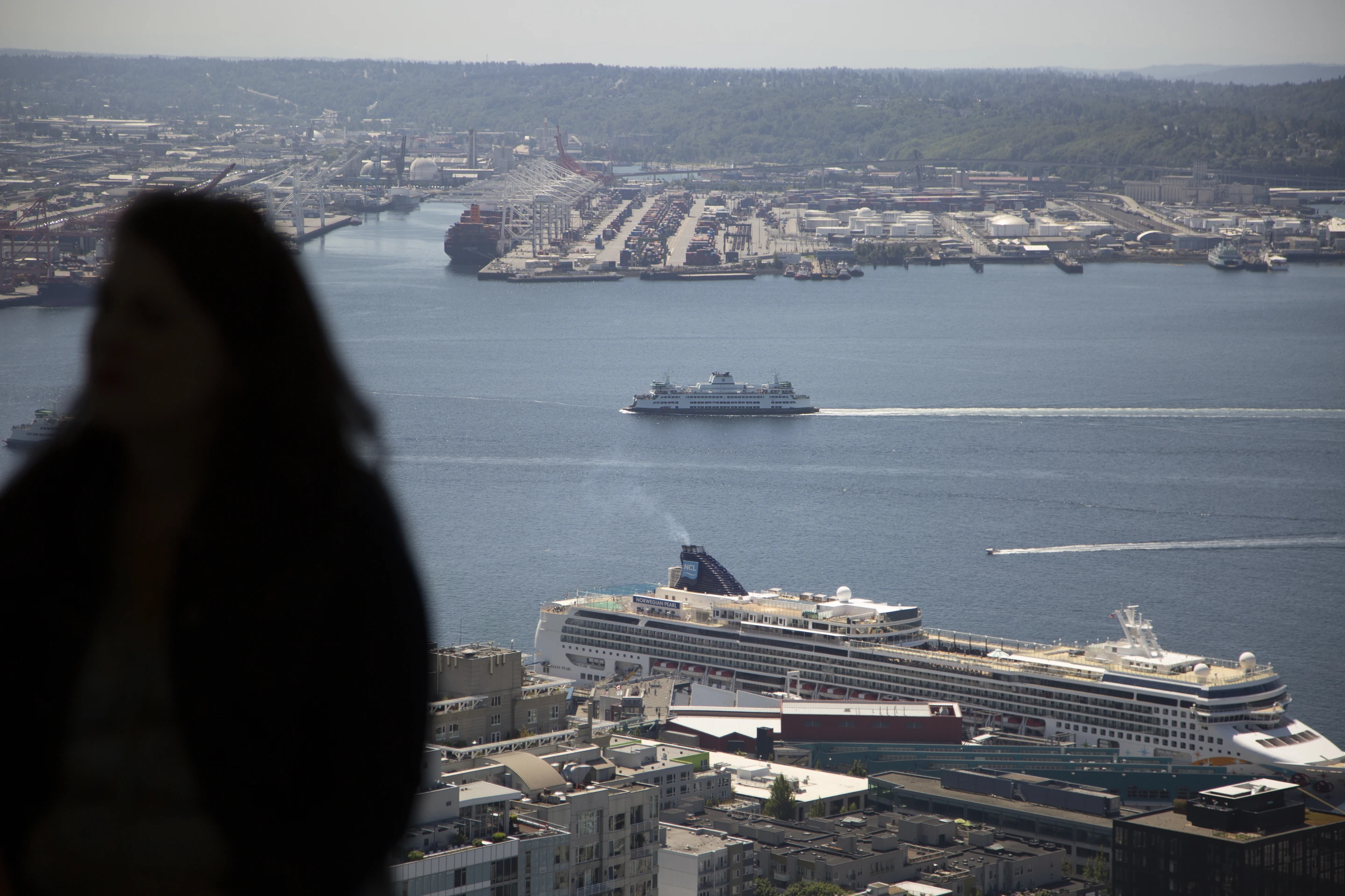 176 tons of new glass were used in a renovation of Seattle's Space Needle tower