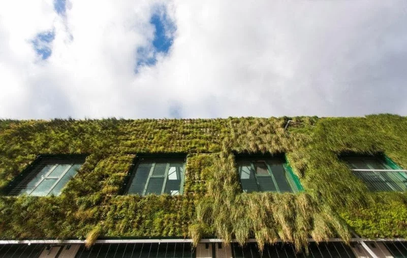 The vertical garden uses a variety of locally-sourced plants