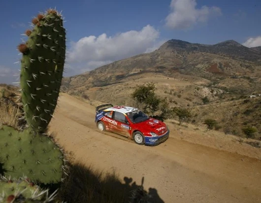 Loeb in Mexico last year