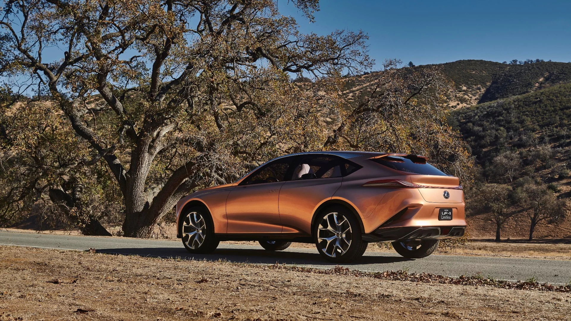 Most of the curves and details of the Lexus LF-1 Limitless Concept’s exterior are very “concept car showcase” in style