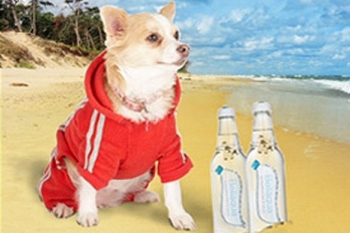 Sparkling Mineral Water for Dogs at 8 a bottle