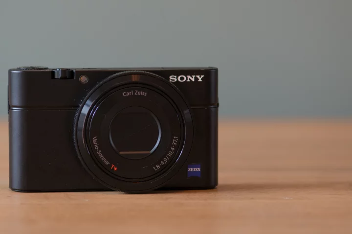Sony is billing the Cyber-shot RX100 as "The professional's compact camera" ... but does it live up to the hype?