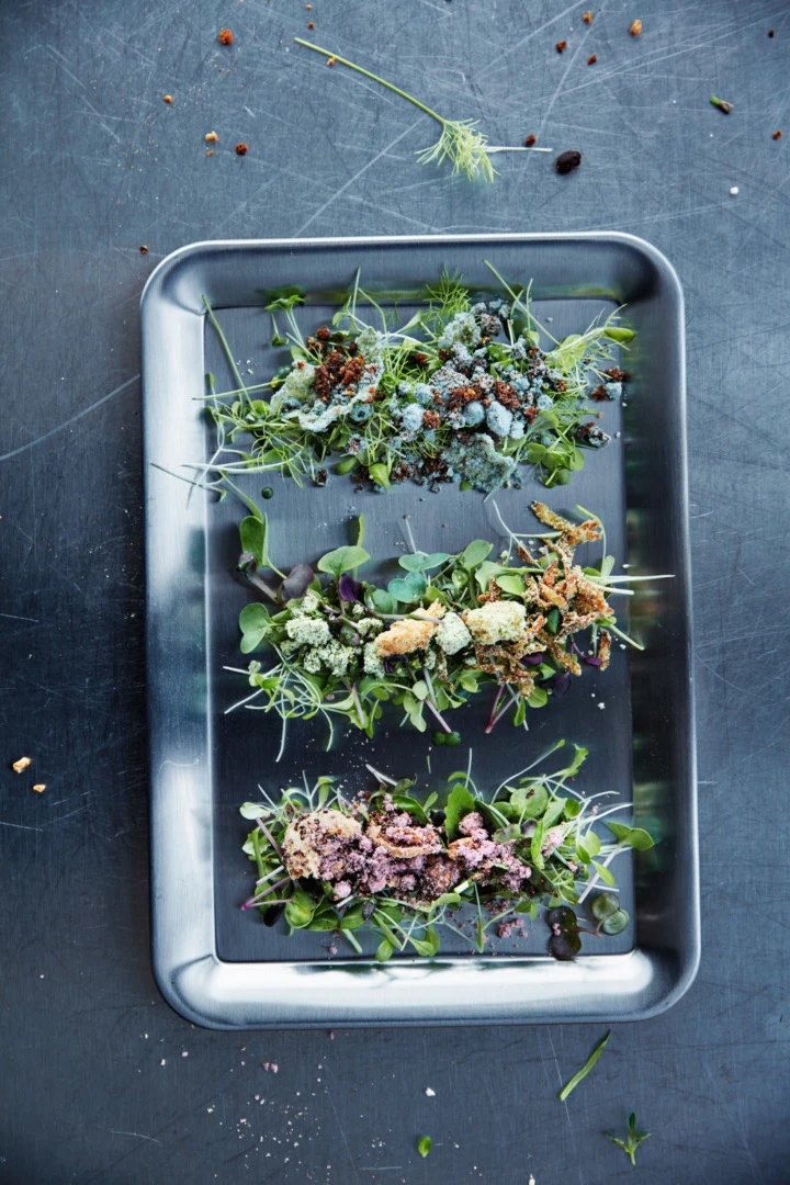 Some of the salads made with hydroponic micro greens