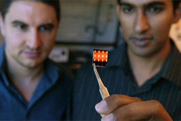Princeton engineers Michael McAlpine and Manu Mannoor with a frog peptide chip (Photo: Frank Wojciechowski)