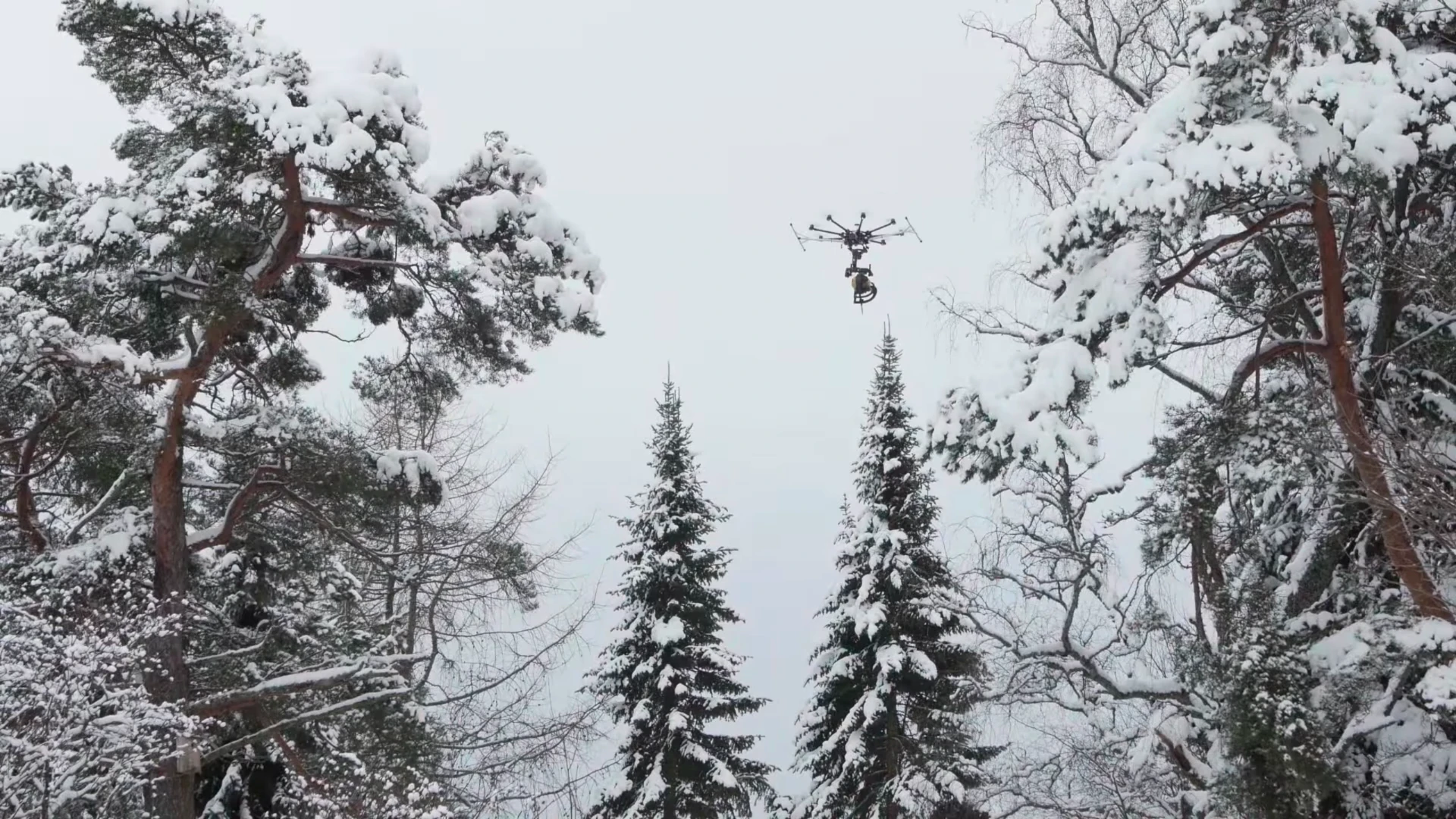 Chainsaws and drones, what could possibly go wrong?
