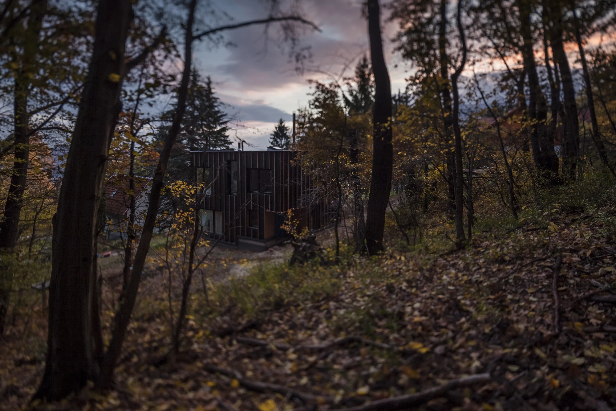 Black Magic House is based in a forest on the outskirts of Budapest (Photo: Zsolt Batár)