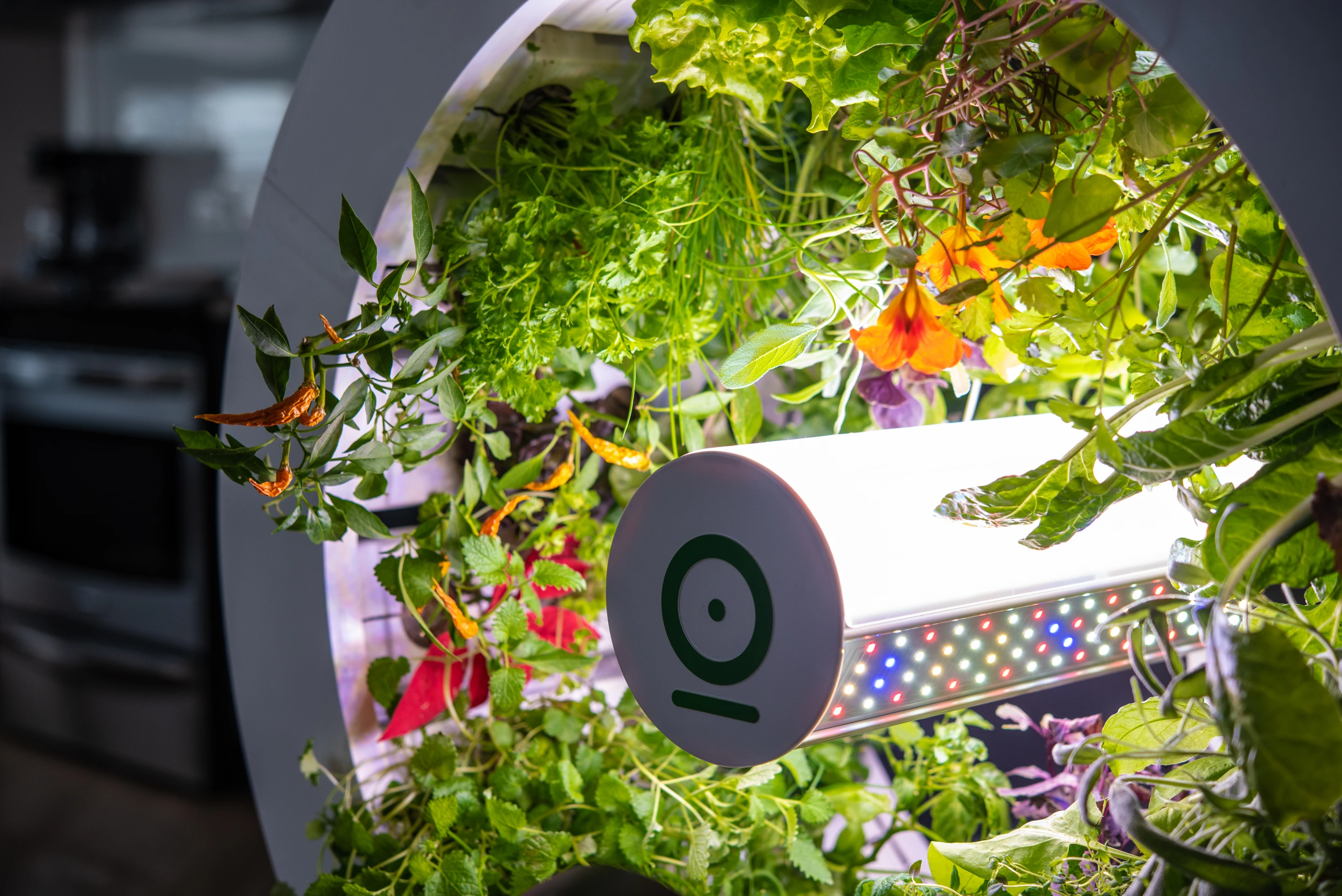 The OGarden Smart has launched on Kickstarter to raise production funds