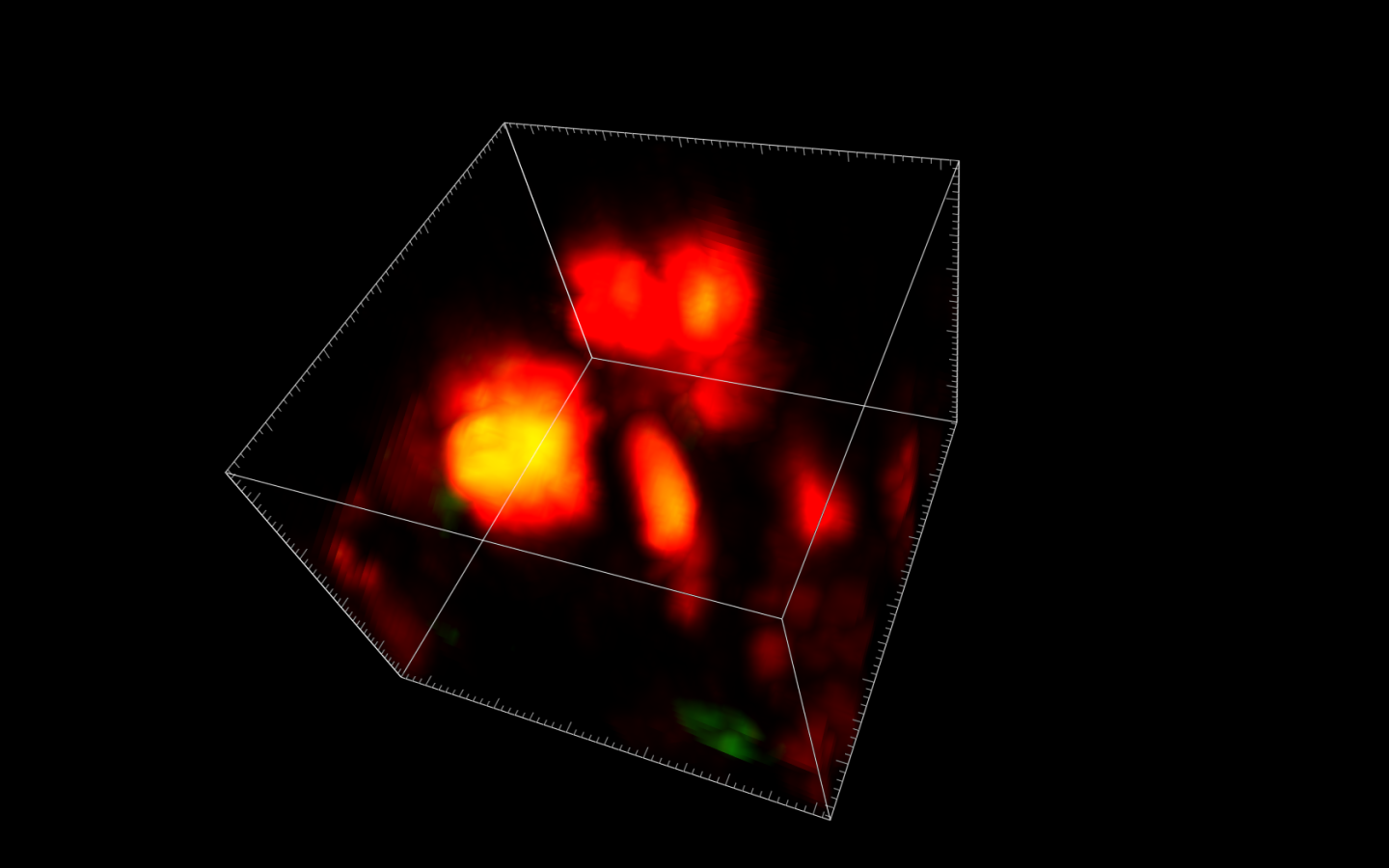 3D image of the newly discovered bone cell, called an osteomorph