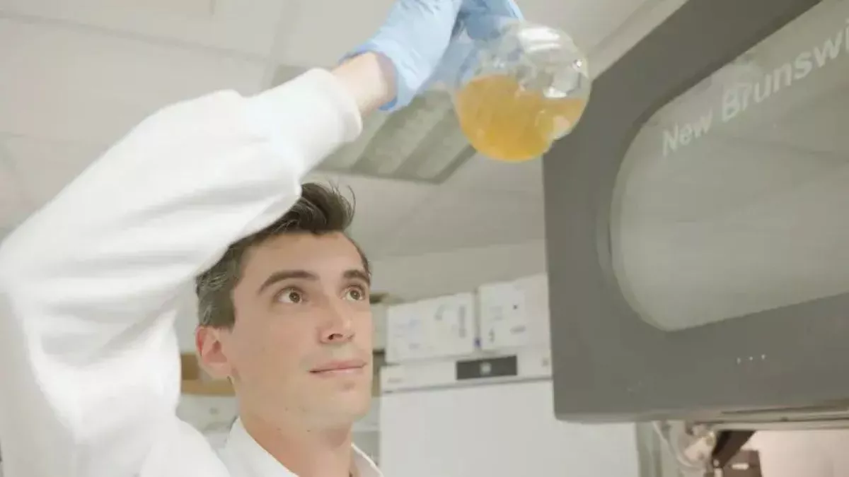 A PhD student checks the growth of a culture of E. coli in the Wallace Lab at the University of Edinburgh