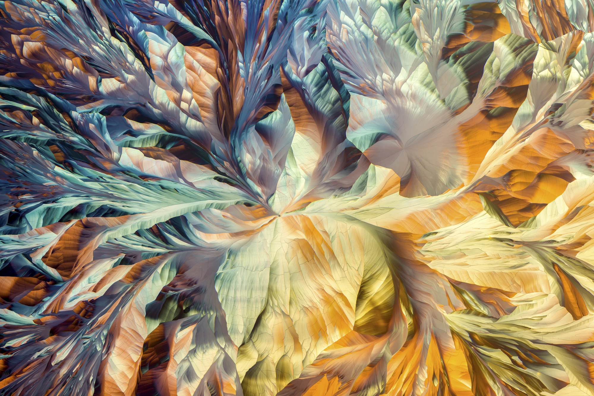 Honorable Mention. Crystallized amino acids L-glutamine and beta-alanine