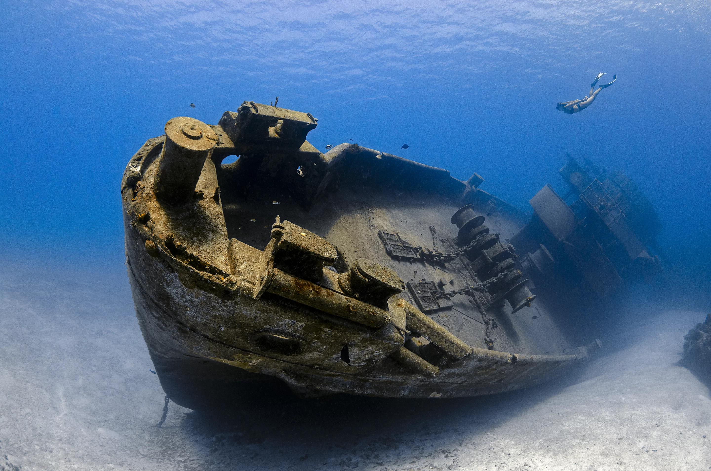 Third, Wrecks. This image was taken on the Kittiwake wreck in Grand Cayman