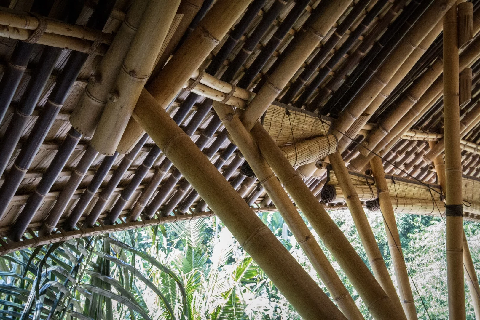 The dramatic overhanging roofs that enclose the homes of the Green Village are made from bamboo shingles and aluminum lining, which protect the interiors from the savage monsoon rains